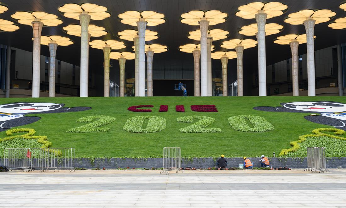 目前，位于上海青浦的国家会展中心（上海）南广场鲜花装饰工程正在进行中。本文图片均为记者 孙湛 朱伟辉 图