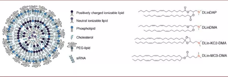 图表:可离子化的脂质纳米颗粒结构