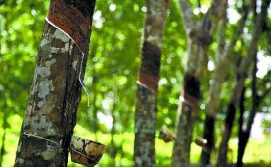 1534843183357047.jpg timg.jpg