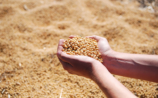 Private-soybeans-and-soybean-meal-production-estimates-show-possibly-strong-output.jpg