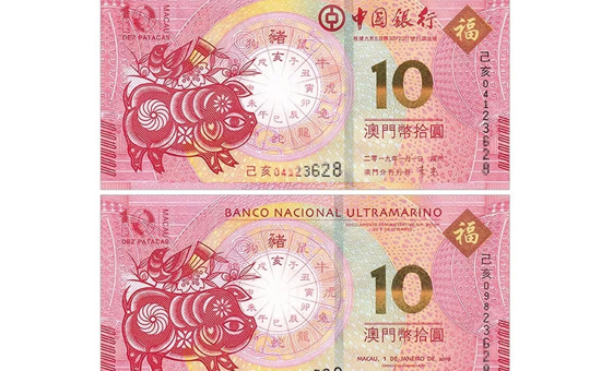 2019猪年生肖纪念钞.jpg