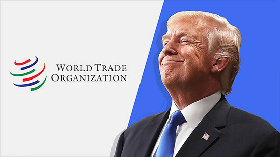 美国和WTO.jpg