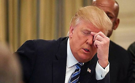 1550820354416796.jpg 微信图片_20181128111952.jpg