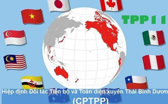 CPTPP正式生效！-美国牛肉的“传统地盘”日本市场被关税减免国瓜分.jpg