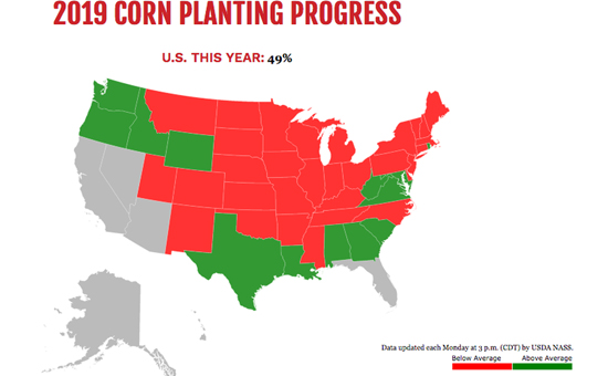 美国农业危机继续-玉米种植率创历史同期新低.jpg
