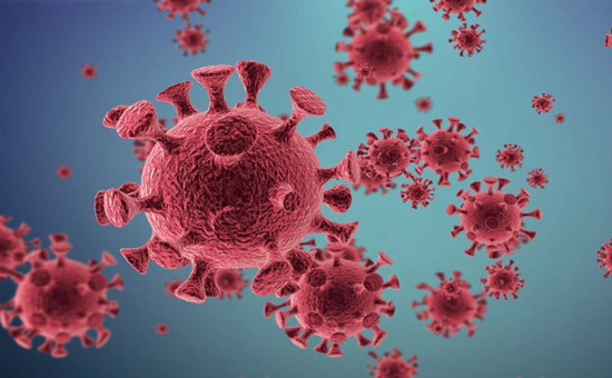 1589425101335286.jpg 1583372814563.jpg