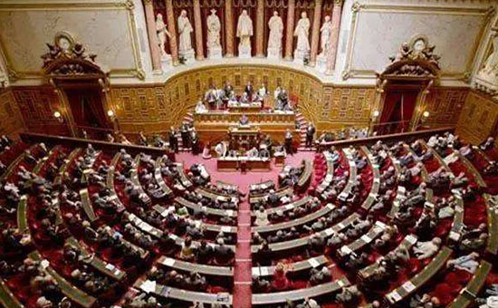 1627527330574778.jpg 550.jpg