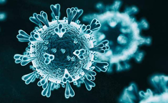 冠状病毒.jpg