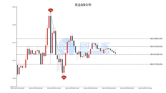 1630547825632115.jpg 15.jpg