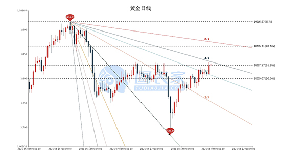 1630897143531528.jpg 24.jpg