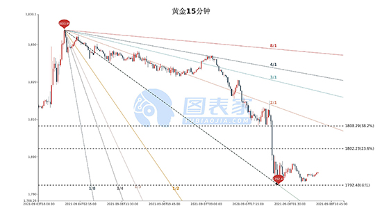 1631067428363626.jpg 15.jpg