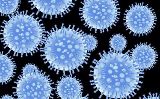 1633402464250725.jpg QQ截图20200214163313.jpg