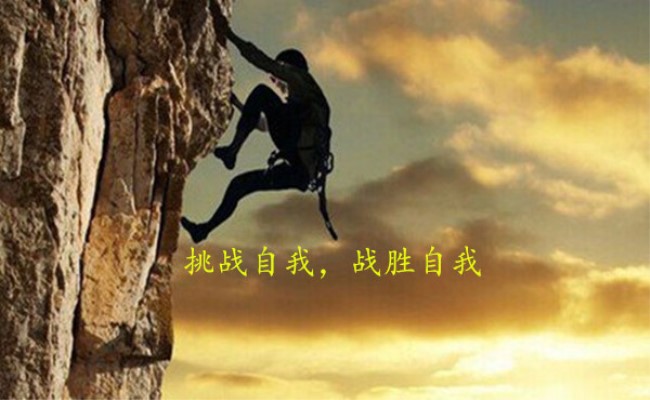 t01e738e4e783da9440 (2).jpg