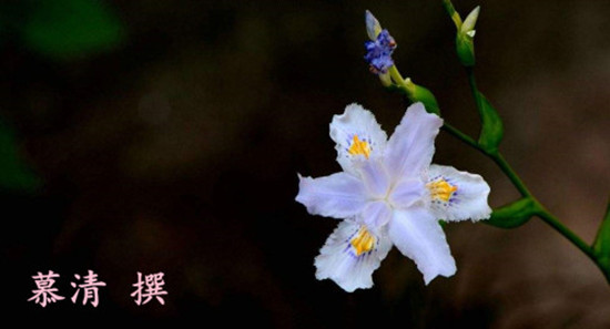 timg (26)_副本_副本.jpg