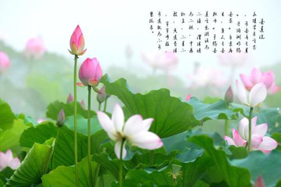 u=2755834560,3208135765&fm=26&gp=0_副本.jpg