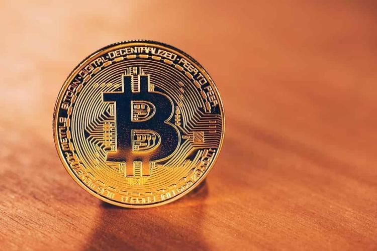 Meme 币的价值？它将成为下一个柴犬币！ - 小轻秀场