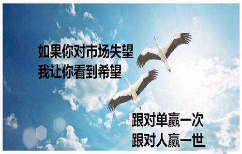 1536278557310_副本.jpg