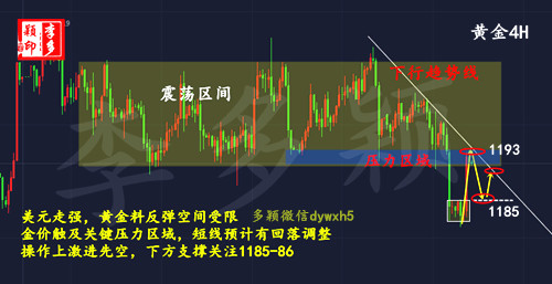 黄金_副本.jpg