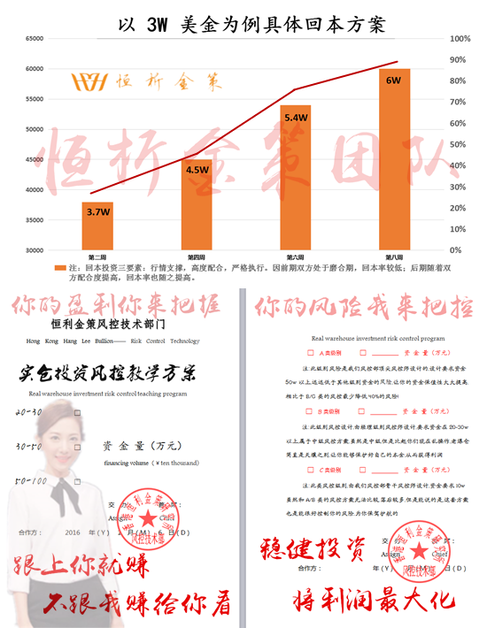  盈利計劃 李金析.png