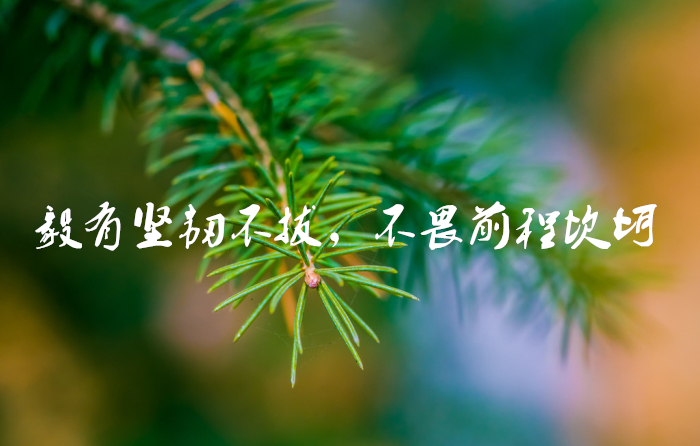 1544620924745046.jpg