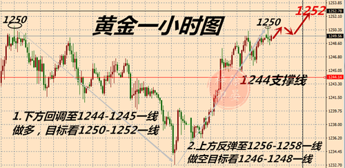 1219PHOTO1.png