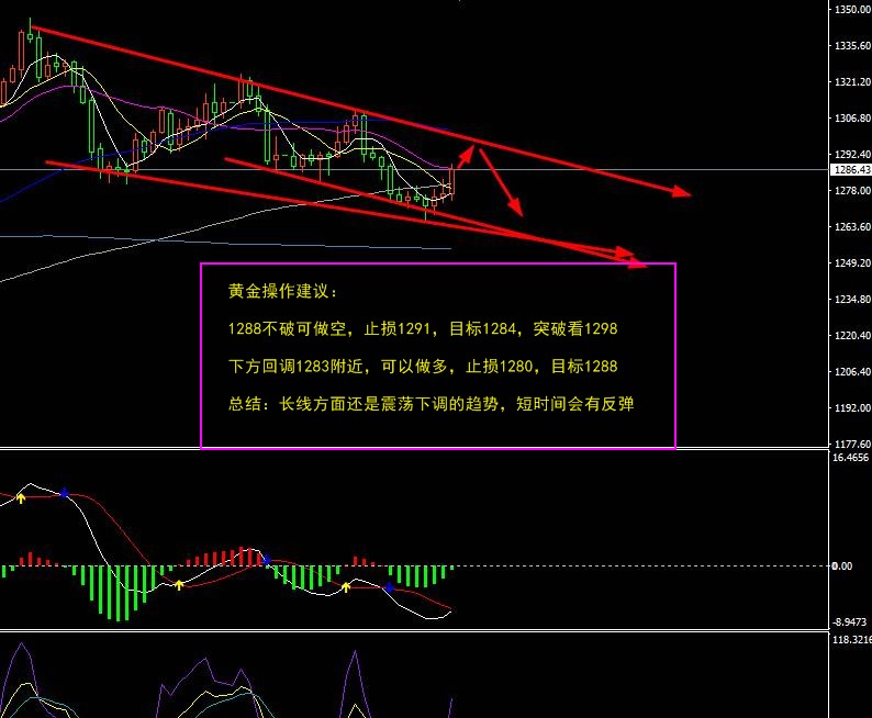 黄金27.jpg