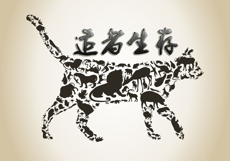 ca164f33ba1ecefdb0d9183a15f716ad_1554338845252.jpeg