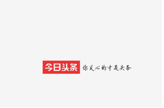 1557097317255063479.png