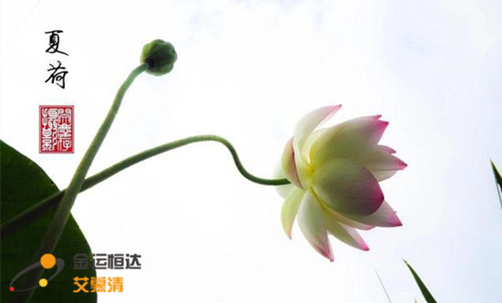 微信图片_20190713192113_副本.jpg