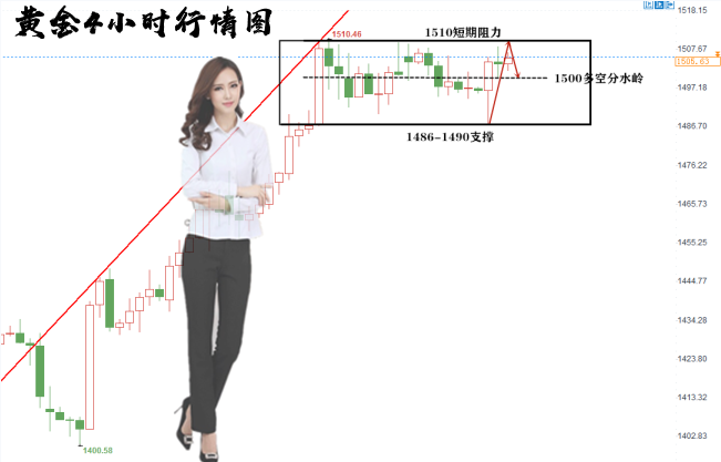 8.13行情分析.png