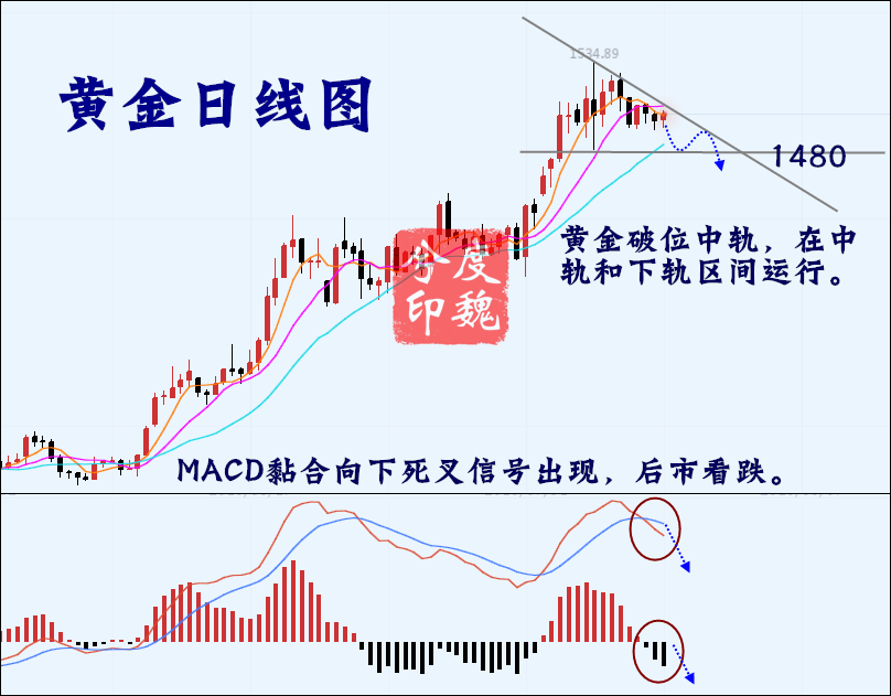 8.23黄金网行情图.png