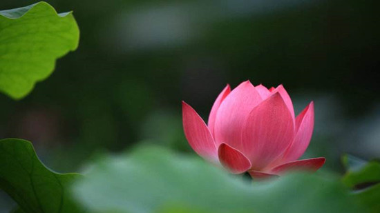 timg (1)_副本.jpg