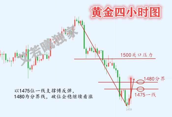 1569945322970070873_副本.jpg