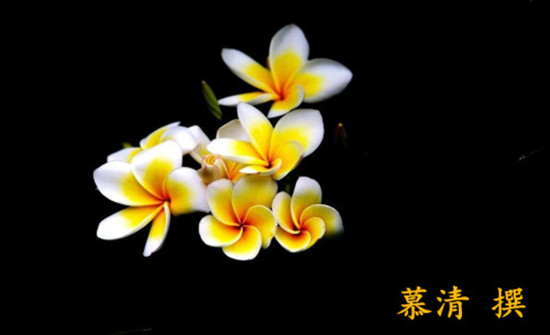 timg (27)_副本_副本.jpg