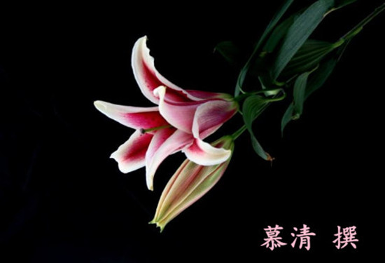 timg (20)_副本_副本.jpg