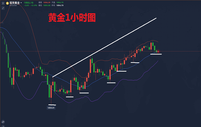 黄金1.png