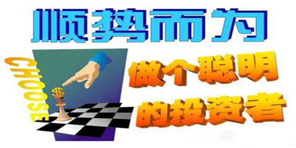 6364099973798323778169521.jpg