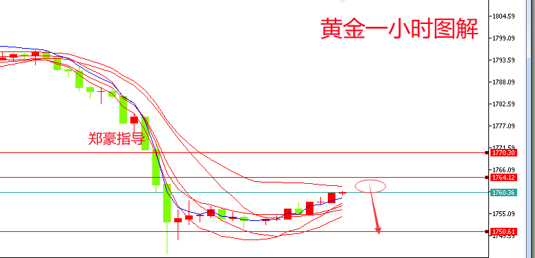 D}F9]068H6}[A1~Z{C2@RLG.png