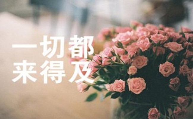 t0141e9010d99efc441.jpg