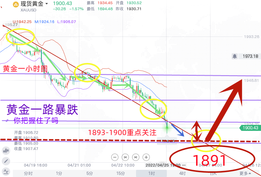 QQ截图20220425204128_副本.png