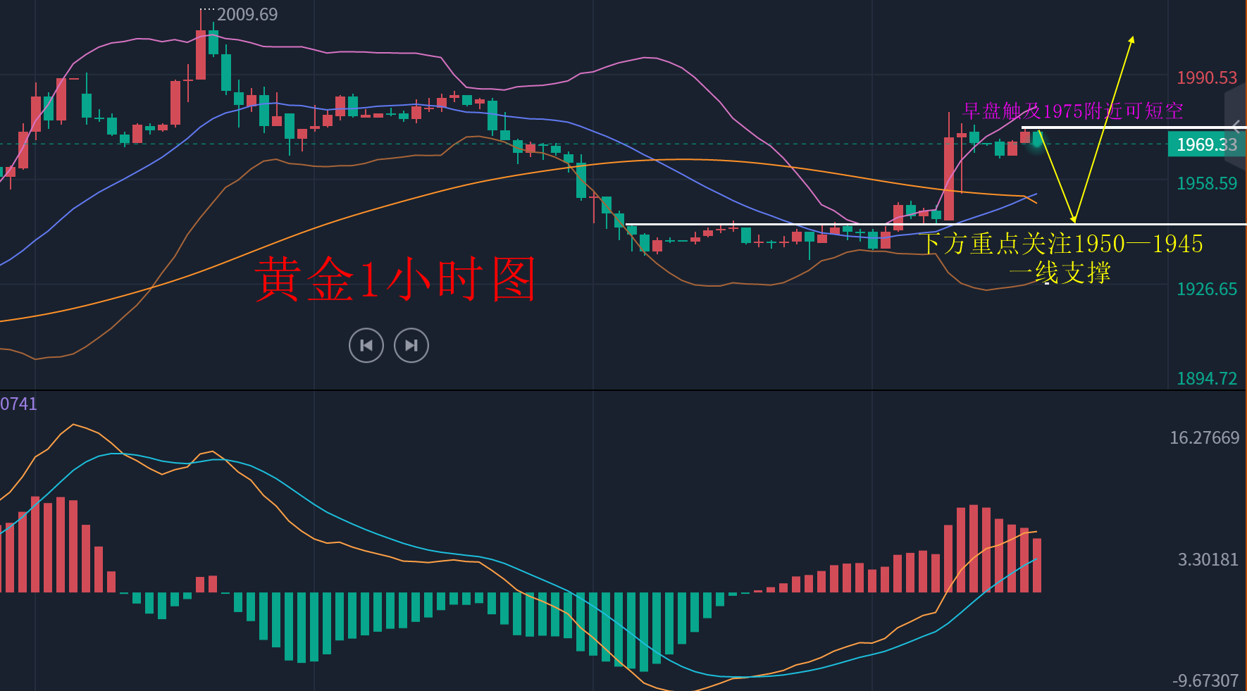 黄金1111.png