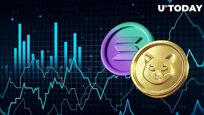 加密货币预测：SHIB币、BNB币价格预测 - 小轻秀场