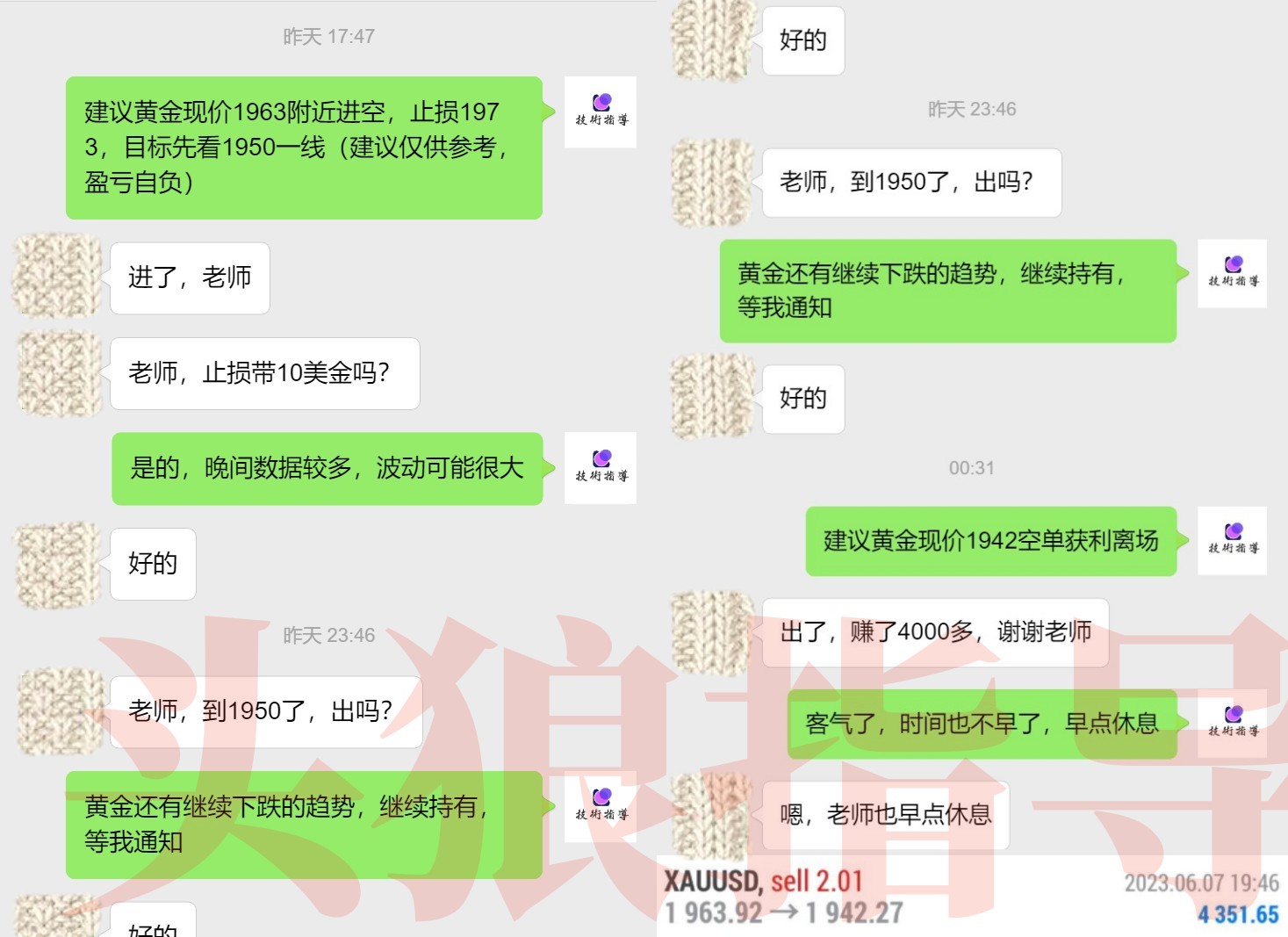 萨芬撒腹股沟管.jpg