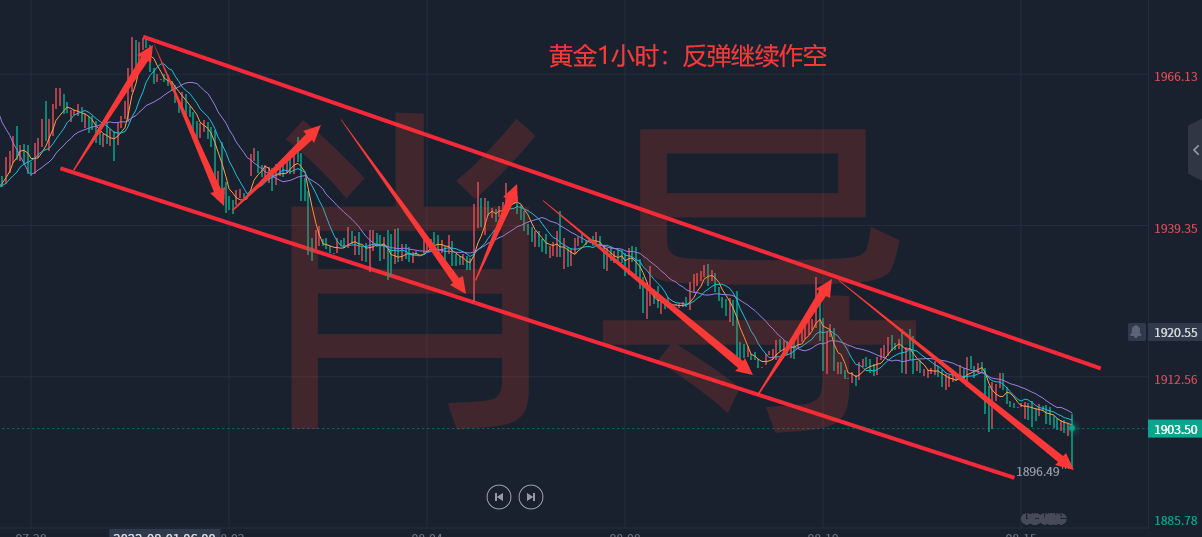 QQ图片20230814171118_副本.png