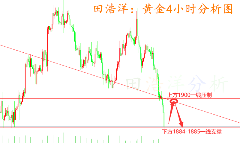 黄金_副本.png