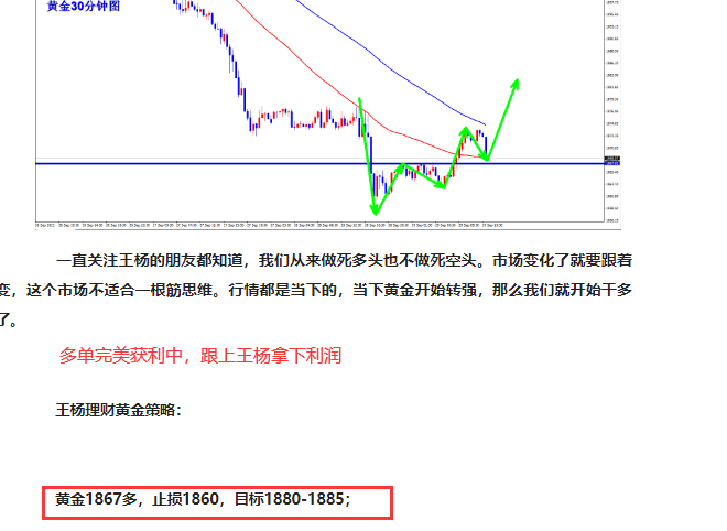 黄金网.png